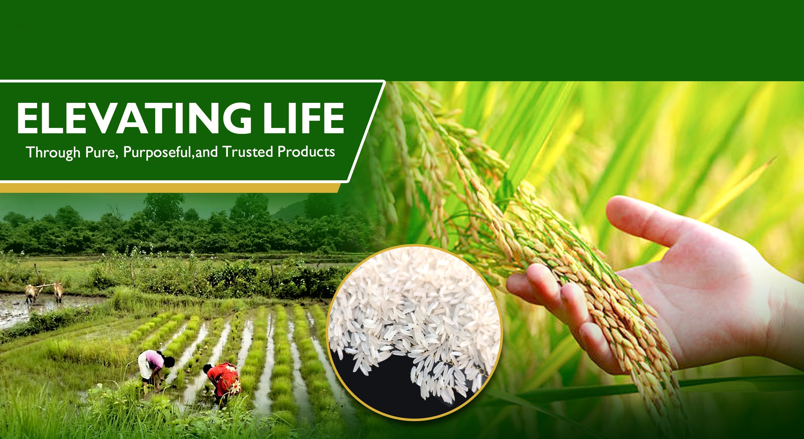 Elevating Life Through Pure, Purposeful, and Trusted Products